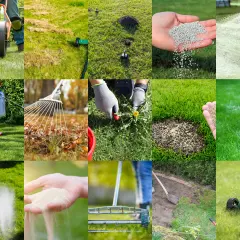 Wiosenna pielęgnacja trawnika: wałowanie, aeracja, nawożenie, usuwanie chwastów, siew i koszenie.