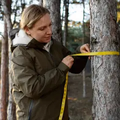 Kobieta w zielonej kurtce mierzy obwód pnia drzewa żółtą taśmą mierniczą w lesie.
