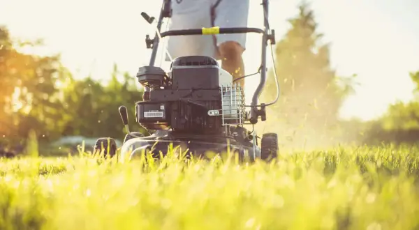 Osoba kosi trawę kosiarką ręczną rotacyjną. Słońce przebija się przez drzewa, tworząc ciepłą atmosferę.