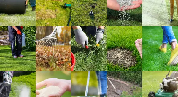 Wiosenna pielęgnacja trawnika: wałowanie, aeracja, nawożenie, usuwanie chwastów, siew i koszenie.