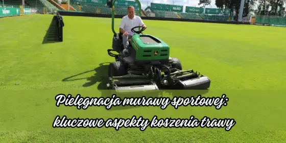 Jaka wysokość koszenia trawy? Poznaj sekret zdrowej murawy!