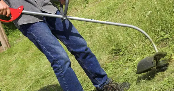 Osoba w dżinsach i koszuli używa podkaszarki do trawy, kiedy pierwsze koszenie trawy po zasianiu.